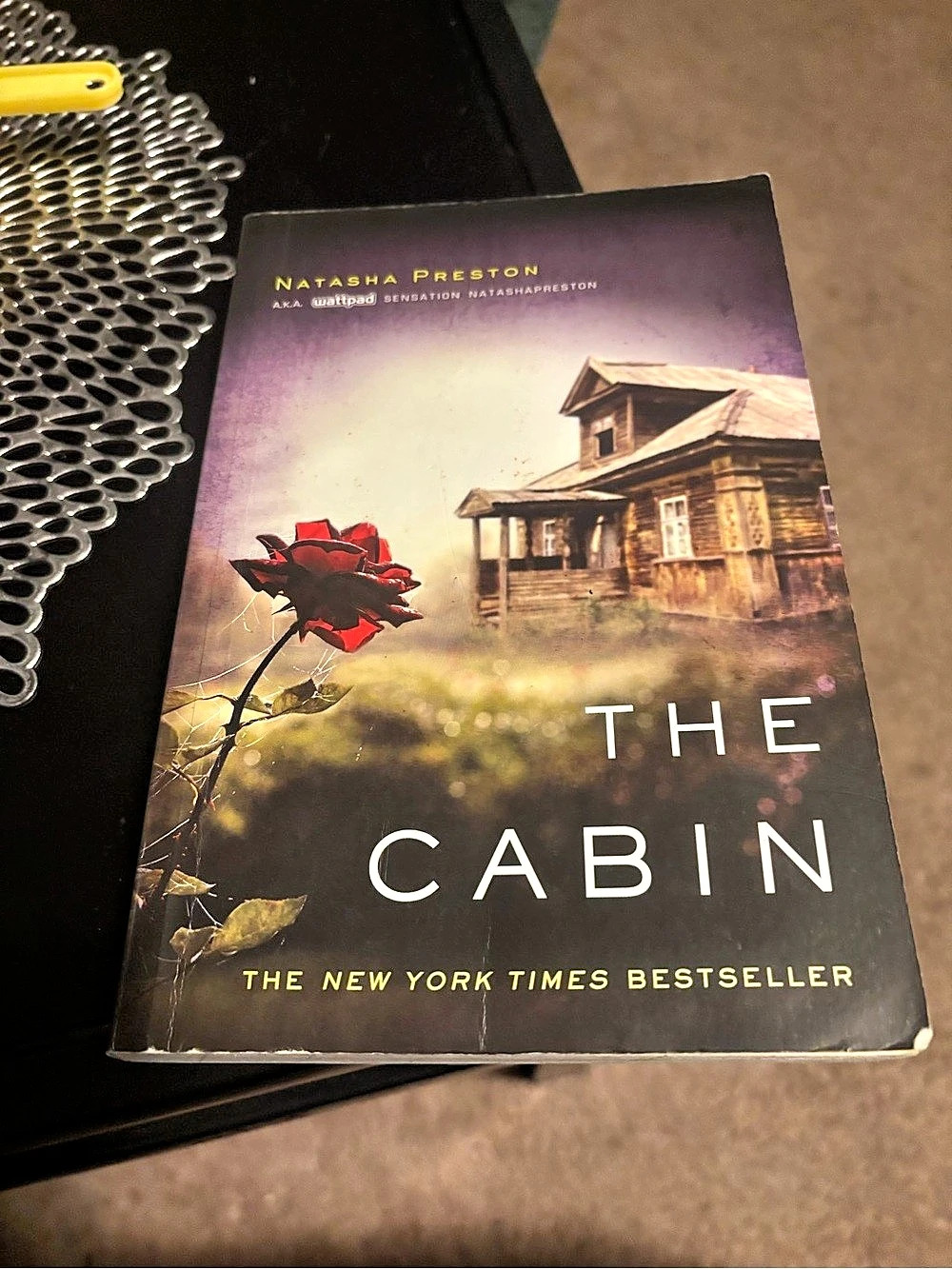 Sourcebooks Fire The Cabin by Natasha Preston Paperback Novel